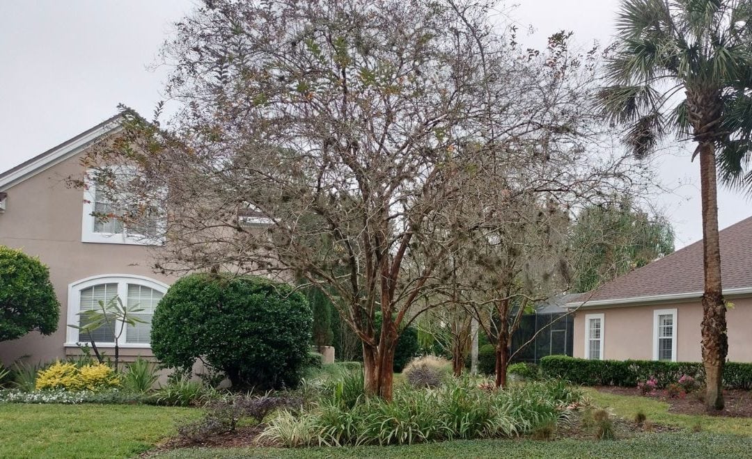 The View – March 2026