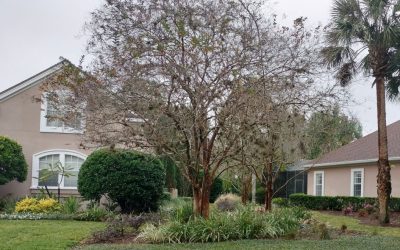 The View – March 2026