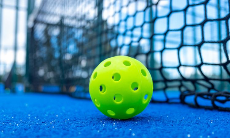 Pickleball Court Rules