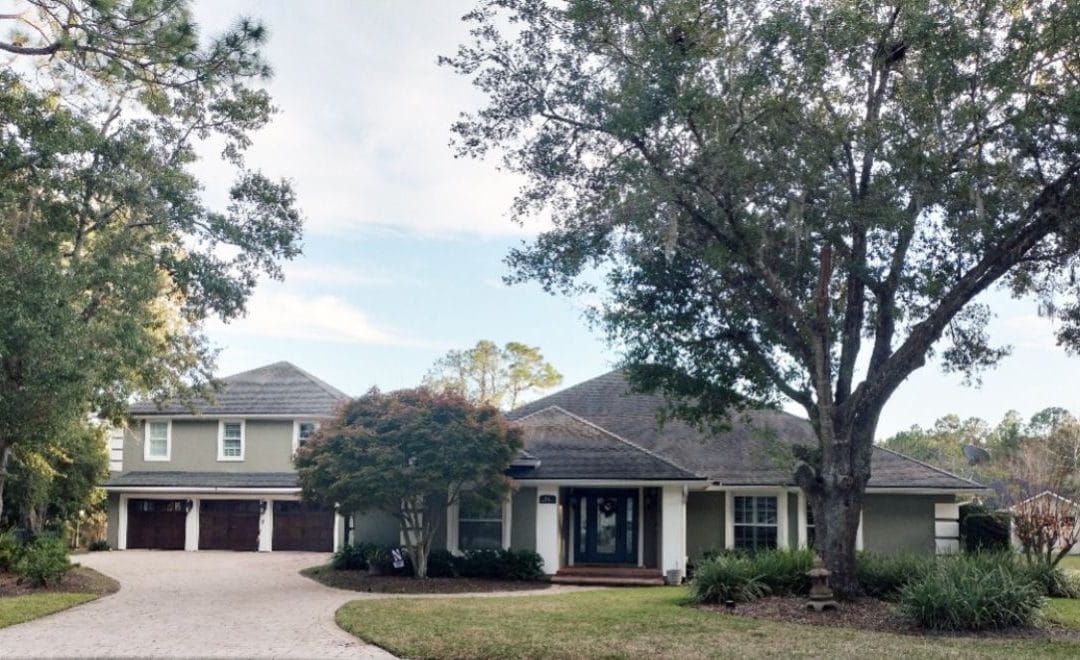 The View – February 2026