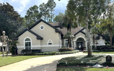 The View – November 2025