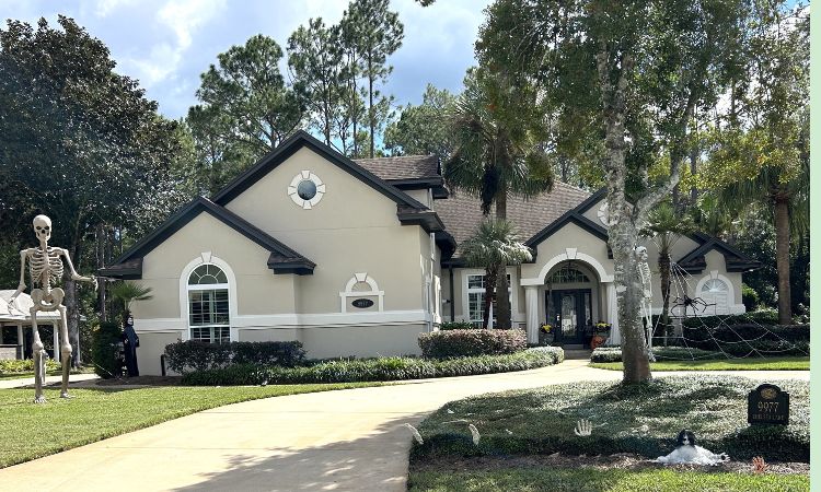 The View – November 2025