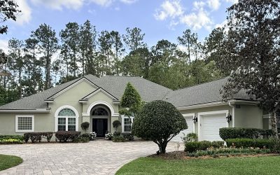 The View – May 2026