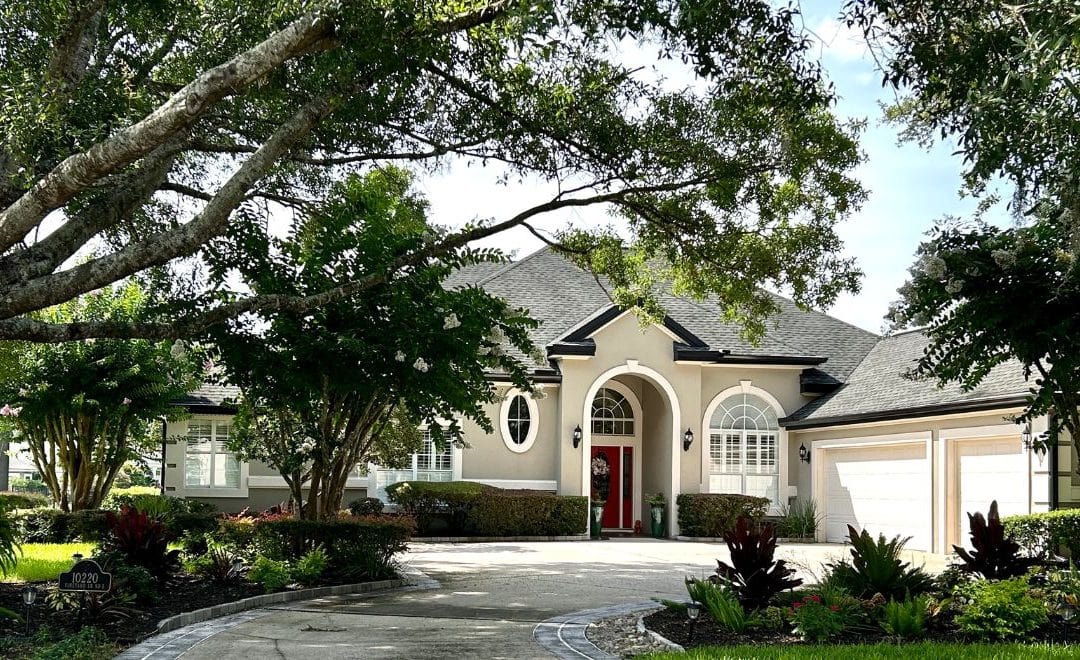 The View August 2025