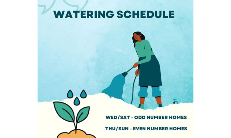Watering Your Yard